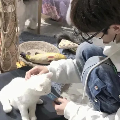 2025男生头像精选