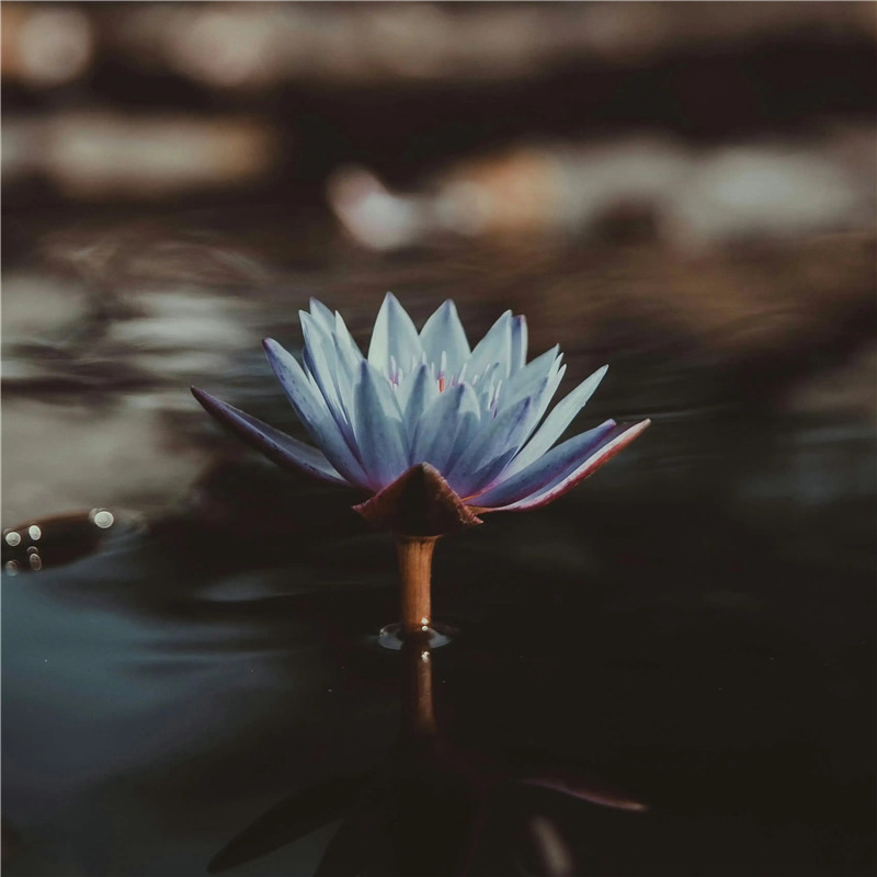 氛围感满满自然风景头像图片