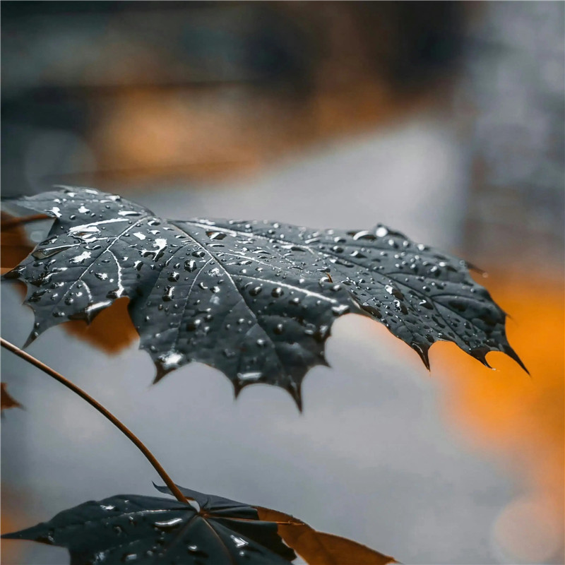 氛围感满满自然风景头像图片