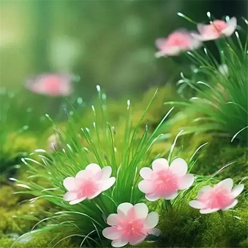 清新鲜艳鲜花头像图片