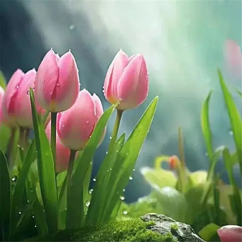 清新鲜艳鲜花头像图片