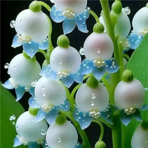 超美漂亮的鲜花头像图片