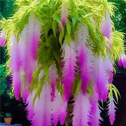 超美漂亮的鲜花头像图片