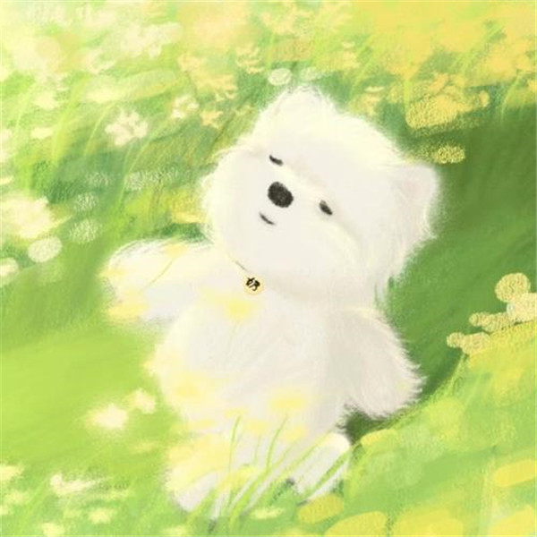 微信头像2025年最新版图片