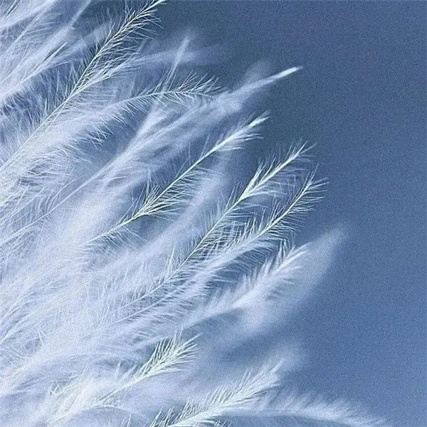 简单干净走心的头像图片