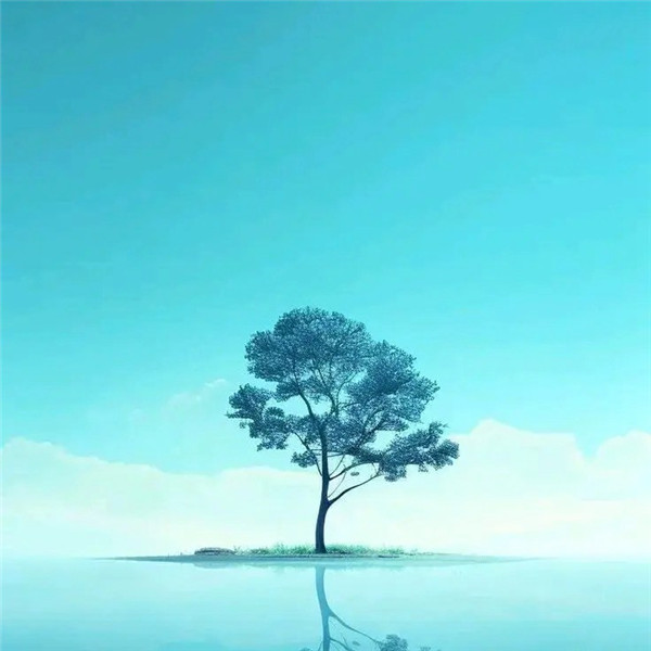简单干净走心的头像图片