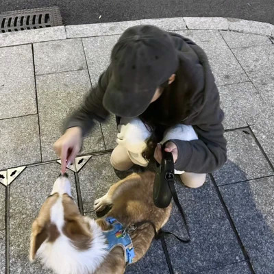 风格女头青春