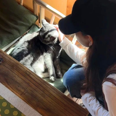 风格女头青春
