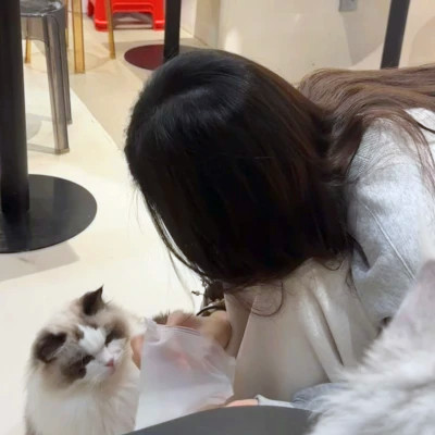 高级无风格女头
