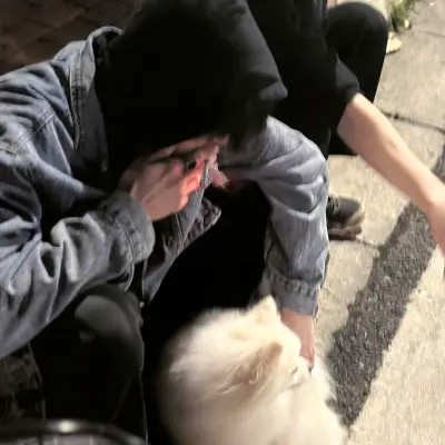 高质量男头真人高清