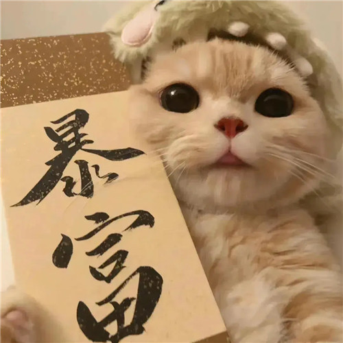 好运又带财的头像