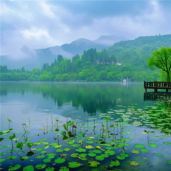 2025年最旺吉祥好运的微信风景头像图片