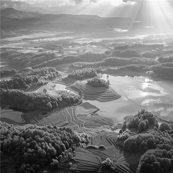 黑白风景照片高清头像