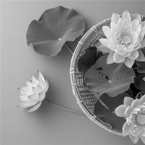 黑白风景头像图片