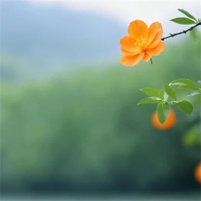 高清风景头像