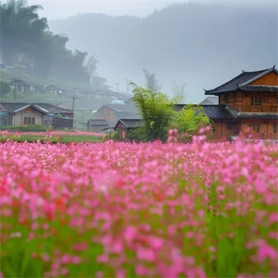 高清风景头像