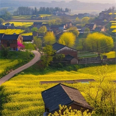 高清风景头像
