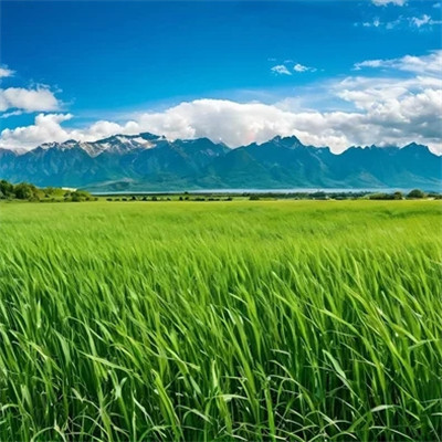绝美风景头像