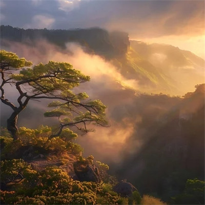 高清自然风景头像