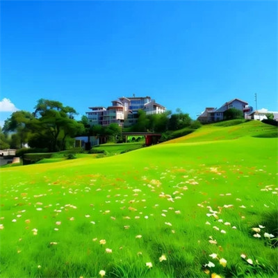 唯美风景微信头像图片
