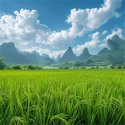 2025年精选风景微信头像