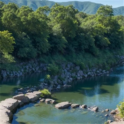 抖音头像风景