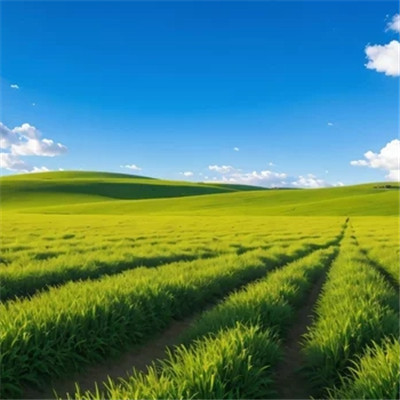 最适合男人的微信头像风景图片