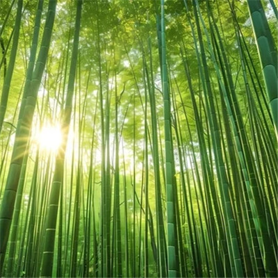 最适合男人的微信头像风景图片