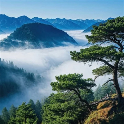2025新款风景头像图片