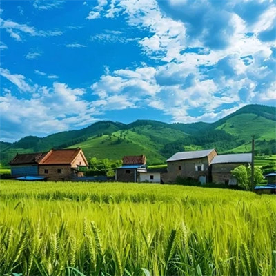 2025新款风景头像图片