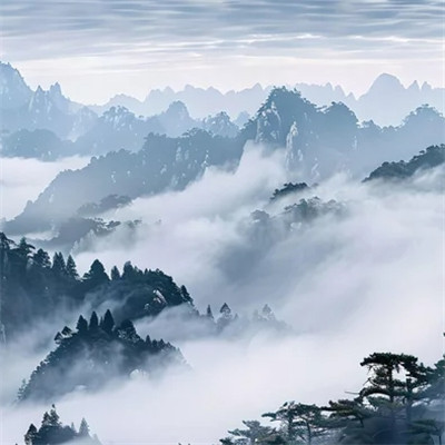 2025新款风景头像图片