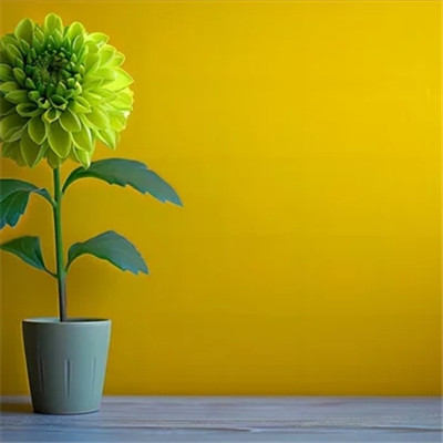 适合做微信头像的花朵图片