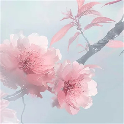 微信头像自然风景花草