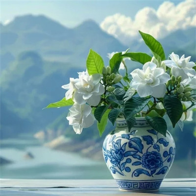 微信头像自然风景花草