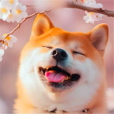 好看的头像动物