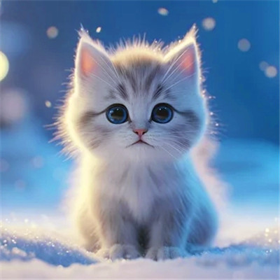 小猫咪呆萌图片头像