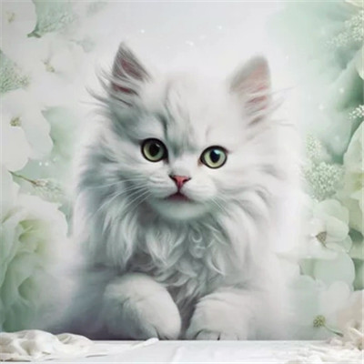 小猫咪呆萌图片头像