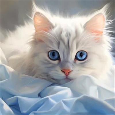 猫猫头像